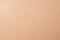 Phototype 2 : blanche et claire