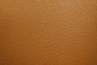 Phototype 4 : brun claire