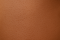 Phototype 5 : brun à brun foncé